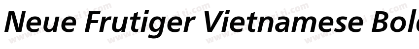 Neue Frutiger Vietnamese Bold字体转换